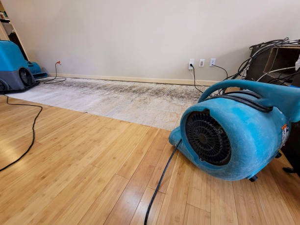Professional Emergency Water Damage technician working in Olga, WA